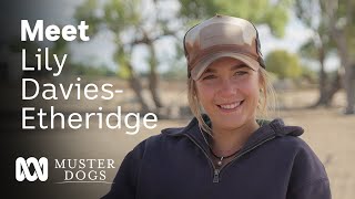 Lily DaviesEtheridge – exceptional dog stock and horse handler  Muster Dogs  ABC Australia [upl. by Atinej297]