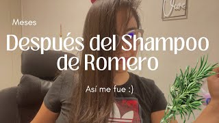 Resultado del shampoo con Romero [upl. by Nosdrahcir]