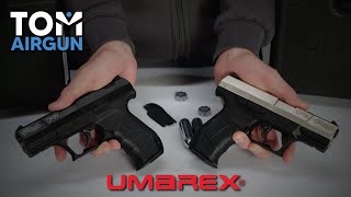 Walther CP99 un pistolet à plombs en calibre 45mm à CO2  Le TEST [upl. by Eissert]