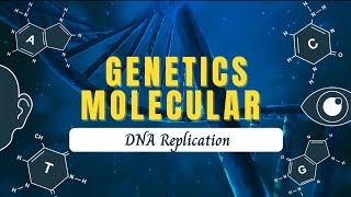 Teori Replikasi DNA  Percobaan Meselson amp Stahl  Proses Replikasi DNA [upl. by Bazil]