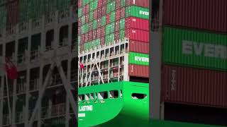 Container arrangement of Evergreen Ship  shorts containership logistics [upl. by Arodoet]