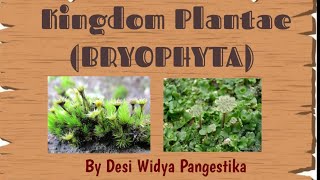 Kingdom Plantae  Bryophyta Tumbuhan Lumut  Biologi Kelas X [upl. by Takeshi539]