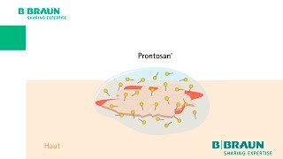 Prontosan®  Sehen Sie das Betain in Aktion [upl. by Lichtenfeld]