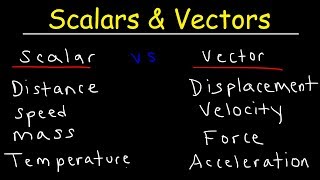 Scalars and Vectors [upl. by Attehcram]