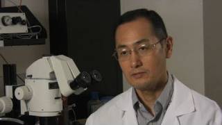 Interview with Nobel winner Shinya Yamanaka [upl. by Halona]