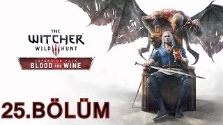 The Witcher 3  Blood And Wine  25 Bölüm Kiralık Şövalye ve Kutsal Görev  Türkçe Full HD [upl. by Ramedlab]