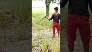 Shailesh cs vlog ll 😘😘😘😘😘😘😍🙏🙏🙏🙏🙏 [upl. by Aras74]