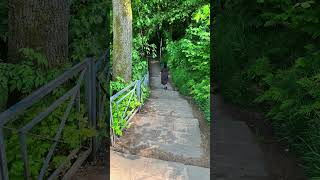 Into the Clouds Exploring Bastei Bridges Majestic Heights viral nature youtubeshorts shorts [upl. by Ainitsirk]