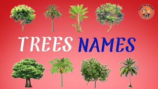 Trees Vocabulary ll Trees Name In English With Pictures tree 103 [upl. by Bar]