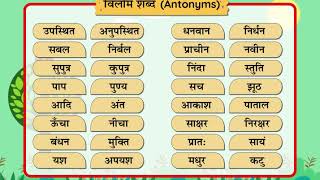 Vilom  Shabd विलोम  शब्द Antonyms Class 5 [upl. by Arral405]