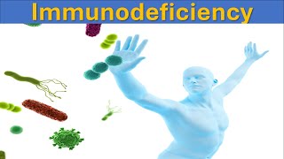 Understanding Immunodeficiency Causes Types and Treatments  Immune System [upl. by Say]