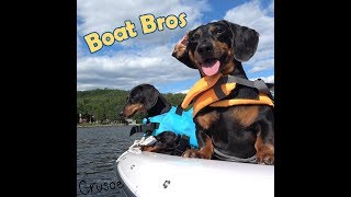 Boat Bros Crusoe amp Oakley Dachshund Have Fun on the Boat [upl. by Ellenad]