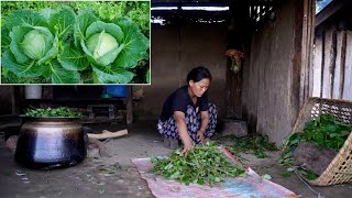 Boiling fodder for Pig by Rita in the farm house  beautiful cabbage farming [upl. by Koetke]