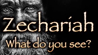 Zechariah 5 Prophecy  Paul Franklin [upl. by Mchugh]