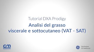 Tutorial DXA Prodigy  Analisi del grasso viscerale e sottocutaneo VATSAT [upl. by Corb]