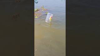 🐠Plastic bottles Fish Trap Part01 channa fishing peste ikan shorts shortsfeed catfish [upl. by Naujad]