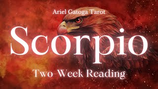 Scorpio TwoWeek Tarot Reading 10524 [upl. by Ogires]