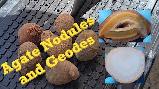 Cutting Open Agate Nodules and Geodes [upl. by Ecargyram451]