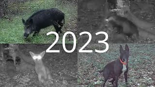 TOUS LES ANIMAUX que jai FILMER en 2023 [upl. by Nrubua]