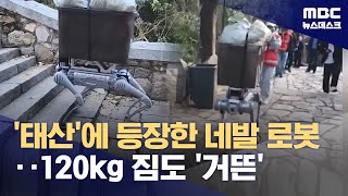 중국 태산 오르내리는 네발 로봇‥120kg 짐도 거뜬 20241022뉴스데스크MBC [upl. by Deenya651]