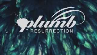 Plumb  Resurrection Official Lyric Tile Video [upl. by Sekyere347]