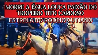 Morre Louca paixão a Estrela do rodeio em cavalos [upl. by Esinrahc261]