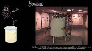 Bioreactors Simple stirred amp sparged  Biotechnology principles  Biology  Khan Academy [upl. by Tterag]