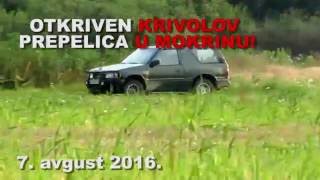 Krivolov prepelica  Mokrin 782016 [upl. by Adala431]