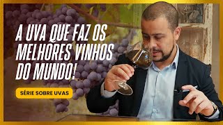 Tudo sobre a Nebbiolo a incrível uva do barolo e barbaresco vinhosdaitalia melhoresvinhos [upl. by Geis]