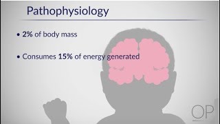 Therapeutic Hypothermia Treatment of Hypoxic Ischemic Encephalopathy Part 1 by D Casey [upl. by Reinhold231]