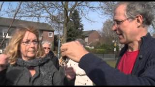 Fruitbomen verbinden Rijsenhouters [upl. by Lemire]