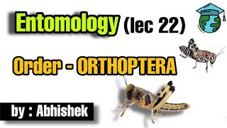 Order ORTHOPTERA • Entomology lec 22 • Go for Agriculture icar  bhu ibps entomology [upl. by Sherrie]