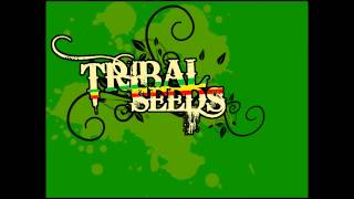 Tribal Seeds  Island Girl [upl. by Seafowl]