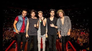 You amp I  One Direction Where We Are 2014 at San Siro [upl. by Boyes415]