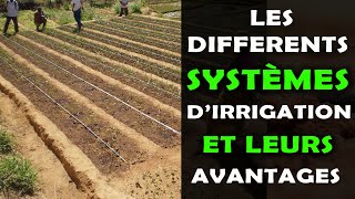 Les différents systèmes dirrigation en agriculture et leurs avantages [upl. by Eemaj]