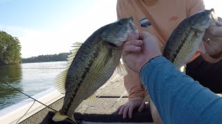 Labor Day Bass Fishing  Wedowee AL [upl. by Adorne]