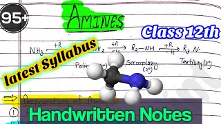 Amines  handwritten notes class 12 chapter 13 chemistry Edustudypoint [upl. by Roanna]