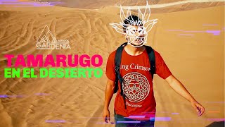 Tamarugo en el desierto  Sonidos Gardenia Video Oficial Ft Omar Fuschini [upl. by Ibbed208]