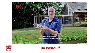 De Postduif [upl. by Ardnad]