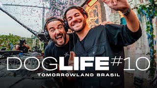 DOGLIFE 10  Tomorrowland Brasil [upl. by Nnoj30]