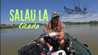 Pescuit la spinning Salau pe locuri salbatice🐟🎣🎣🎣 [upl. by Foah636]