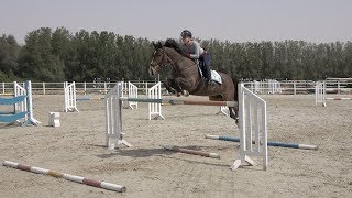 18 Year Old Horse Jumping 130m Urano [upl. by Assehc]