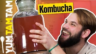 How To Kombucha  Kombucha selbst ansetzen  yumtamtam [upl. by Twum]