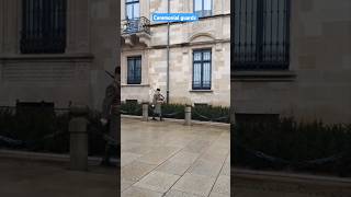 Why is this police walking always in luxembourg [upl. by Margie]