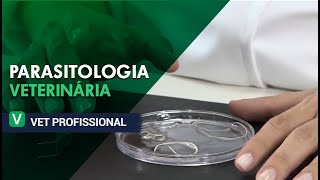 Parasitologia Veterinária I VET Profissional [upl. by Lesig]