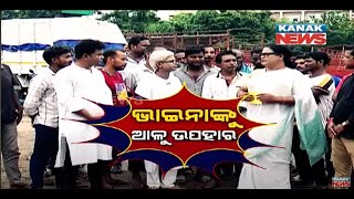 PotatoOdishaWest Bengal Loka Nakali Katha Asali  Kanak News [upl. by Egap]