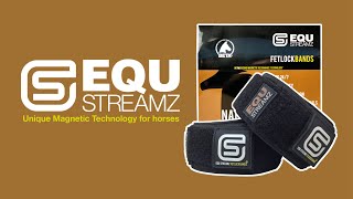 EQU StreamZ Horse Bands  Advanced Magnetic Technology for horses  Life is currently very different [upl. by Oidiple783]