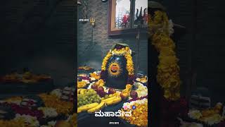 Mahadeva kannada song statuslove mahadev kannadasong omnamhshivaay wgatsappstatussong [upl. by Oicaro66]