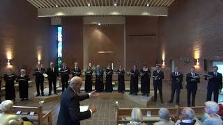 Ave Maria Anton Bruckner  Kammerkoret Coro Misto [upl. by Lrig721]