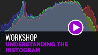 Understanding the Histogram [upl. by Nairb]